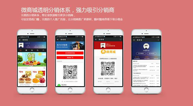 <a href='/fenxiao/' target='_blank'><u>三級(jí)分銷</u></a>系統(tǒng)